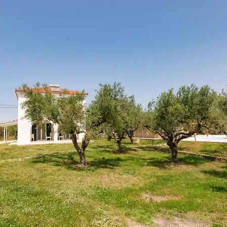 Lenna's Zante Villa Vasilikos (Zakynthos)